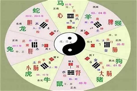 一 五行属什么|一的五行属什么,一字的五行属性,一的寓意